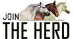 Horse Herd Logo